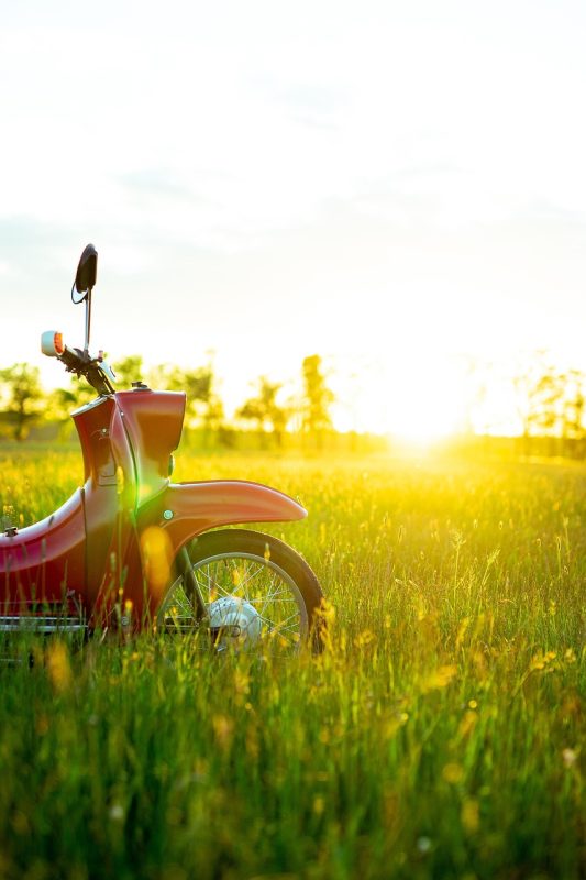 Intervention après rupture de courroie à Morlanwez scooter, graminées, le coucher du soleil, moto, moteur rouge, nature, extérieur, prairie, transport, classique, rétro, voiture, automobile